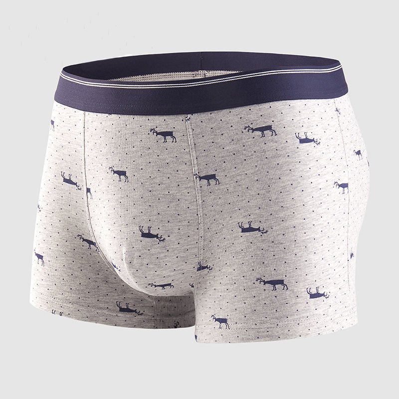 남성용 섹시한 팬티, 코튼 속옷, 통기성 복서, 솔리드 - Boxer Brief Pack Cotton 리뷰 및 가격